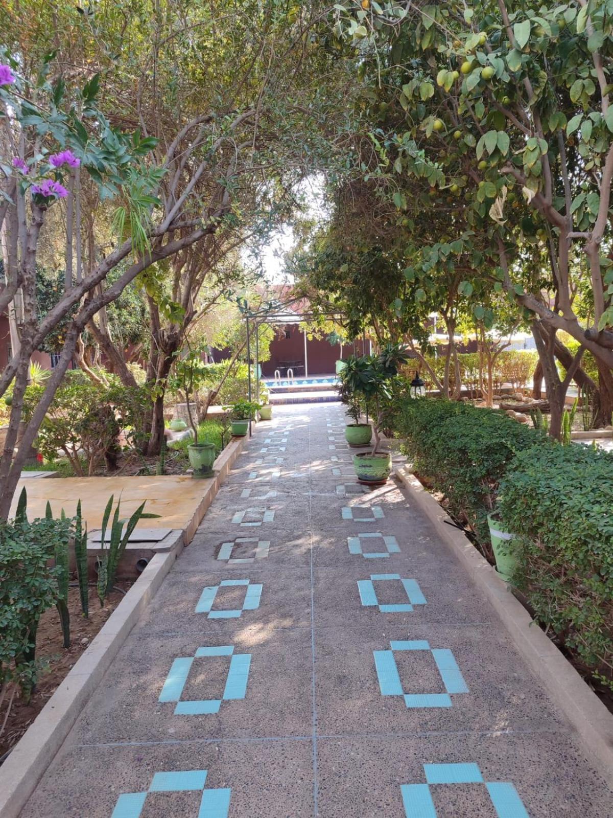 Riad Les Jardins Mabrouk Hotel Taroudant Exterior photo